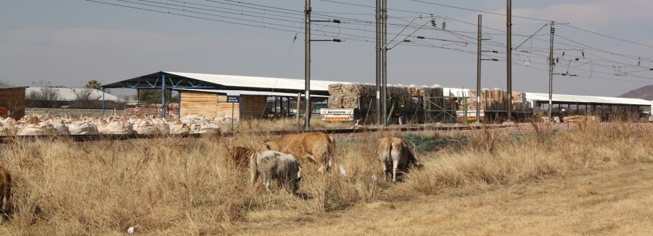 limpopo 147 (3)